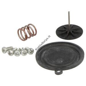 Membrana katilui Vaillant