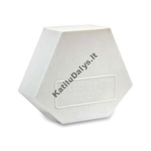 BUDERUS Lauko temperatūros jutiklis FA