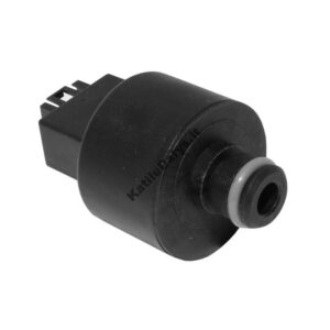 Slėgio kontrolės daviklis Buderus